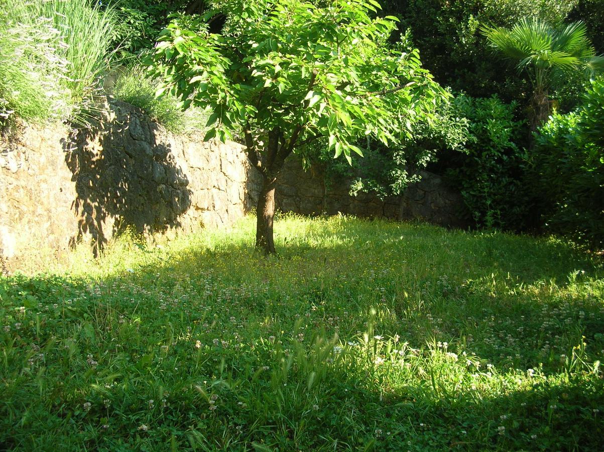 Vacation Lucija Appartement