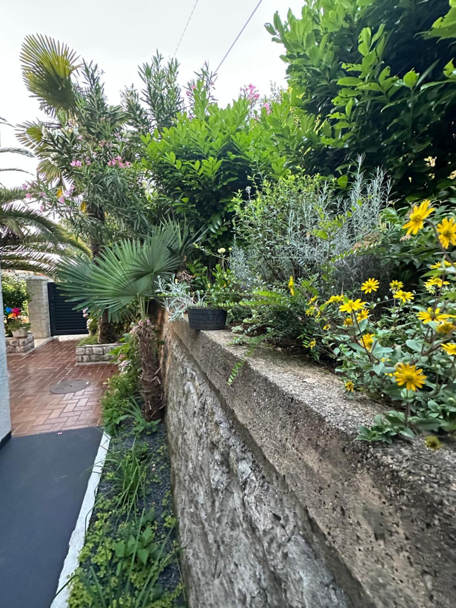 Apartment Vacation Lucija